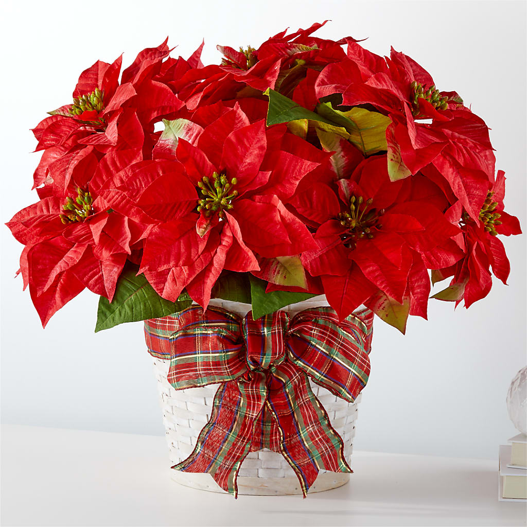 Happiest Holidays Poinsettia – Main Street Floral, Superior NE