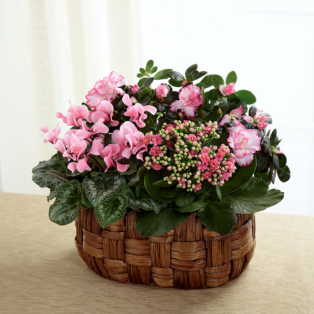 Pink Assortment – Main Street Floral, Superior NE