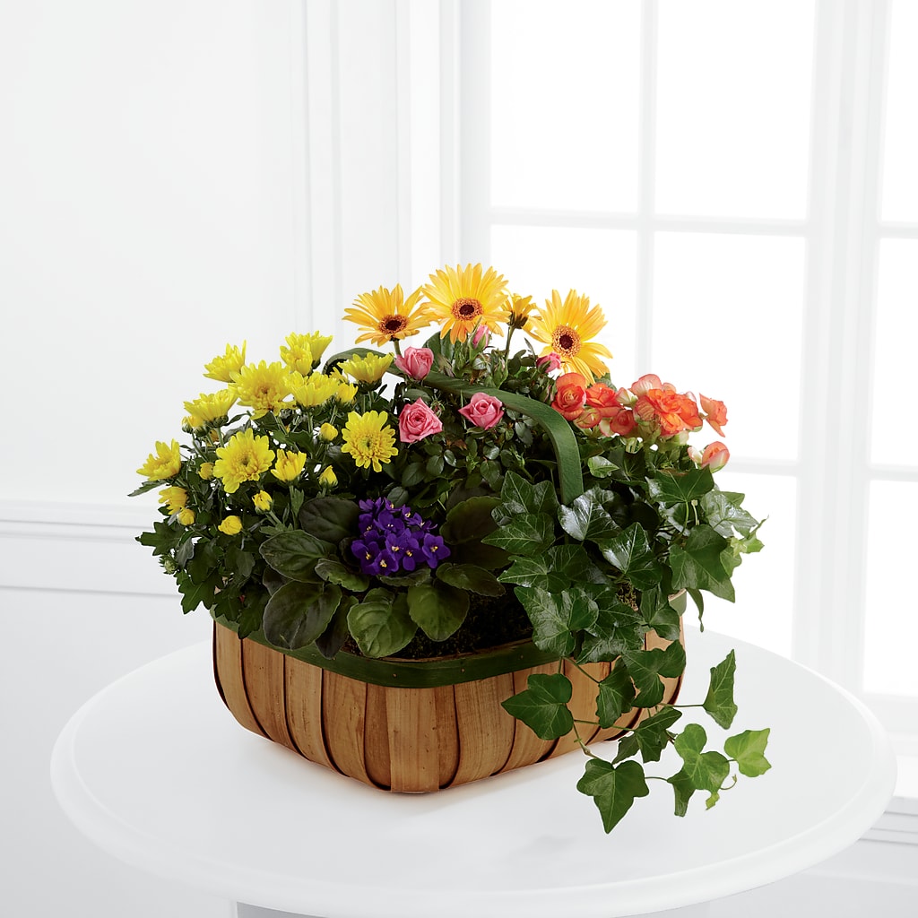 Gentle Blossoms Basket – Main Street Floral, Superior NE