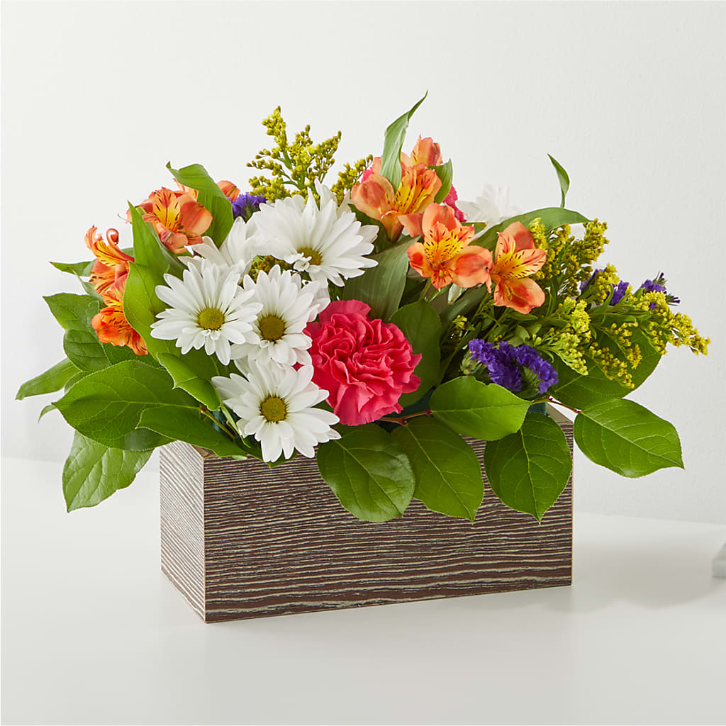 Oopsie Daisy Box Bouquet – Main Street Floral, Superior NE