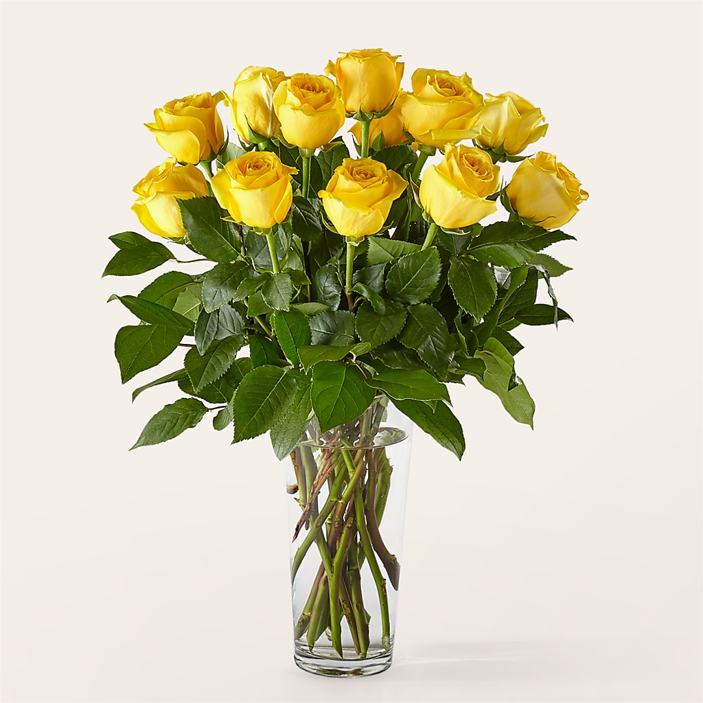 Long Stem Yellow Rose Bouquet – Main Street Floral, Superior NE