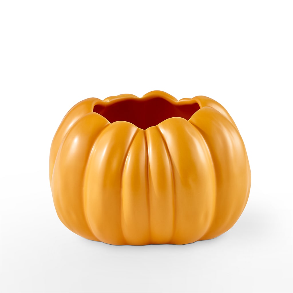 Pick of the Patch Pumpkin Bouquet – Main Street Floral, Superior NE