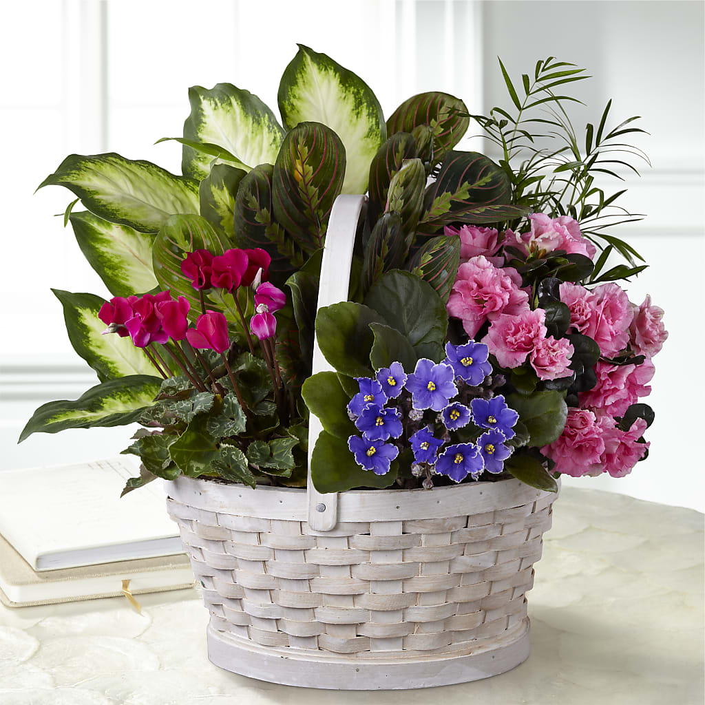 Peaceful Garden Planter – Main Street Floral, Superior NE