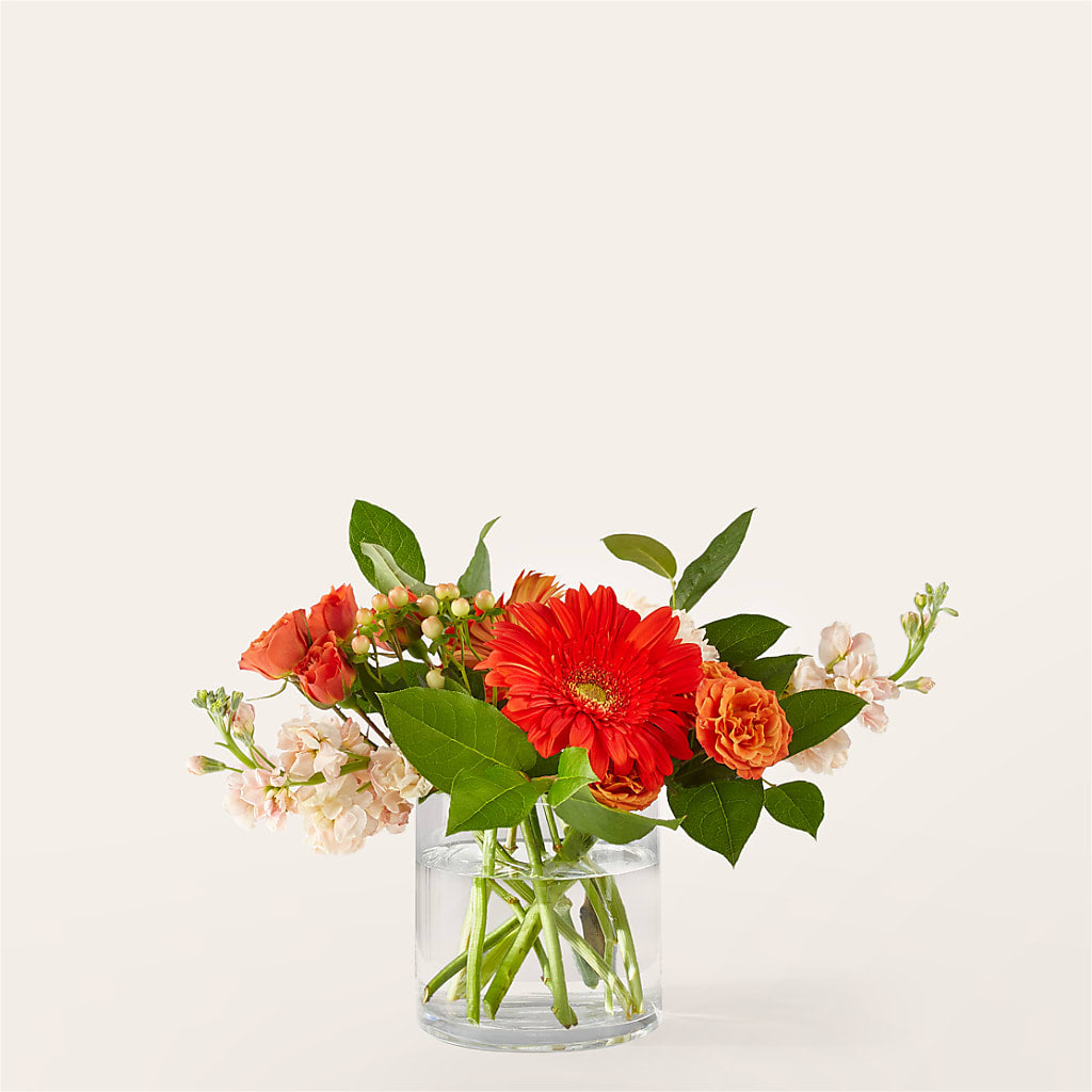 Paloma Please Bouquet – Main Street Floral, Superior NE
