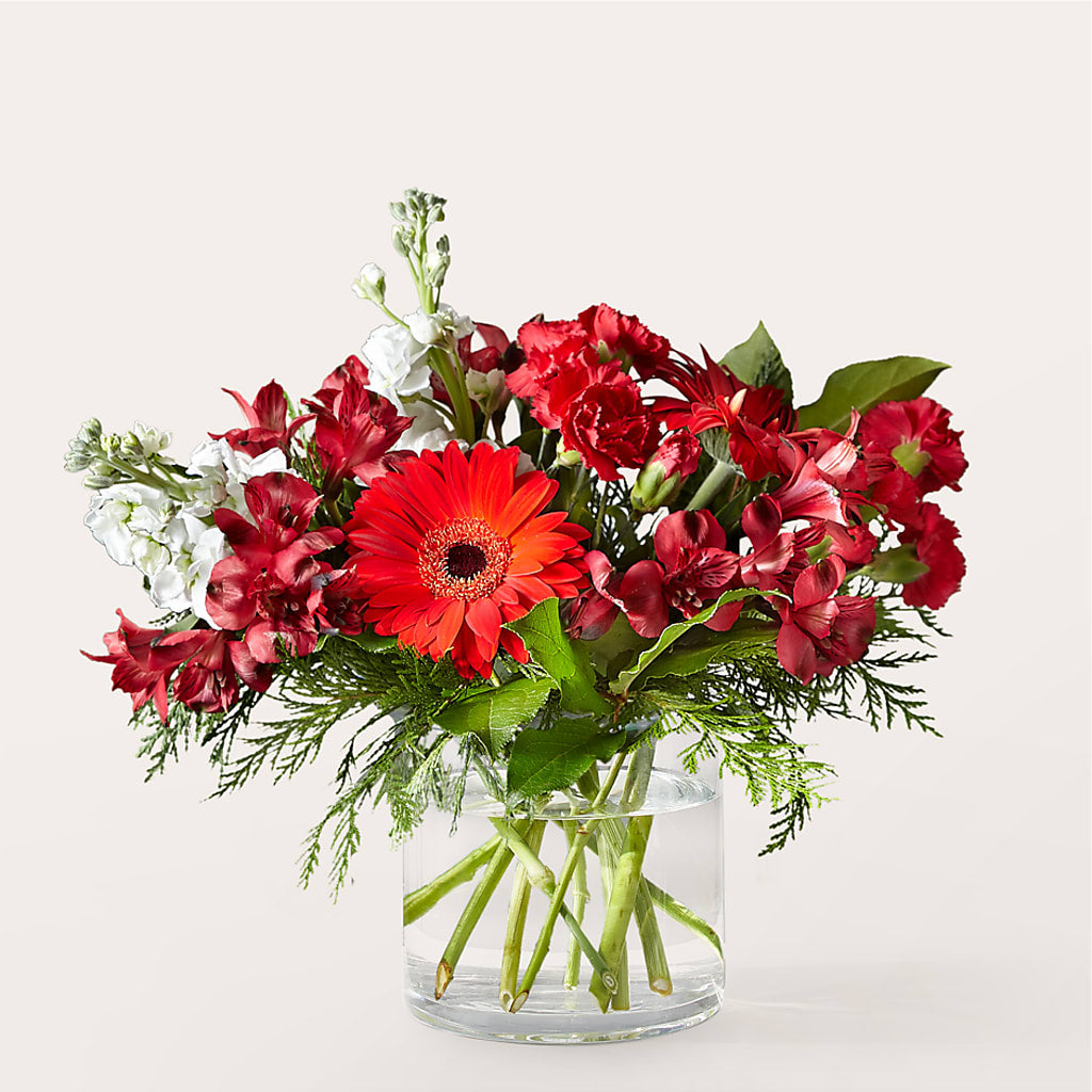 Holidaisy Bouquet – Main Street Floral, Superior NE