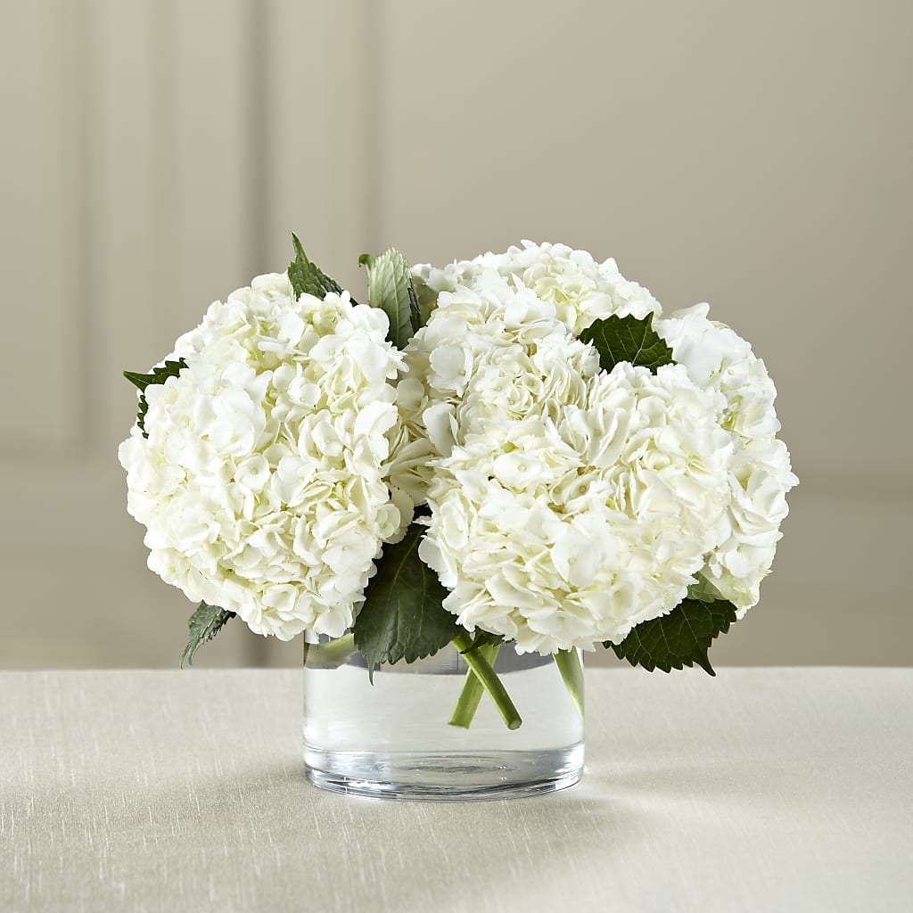 White Hydrangea Bouquet – Main Street Floral, Superior NE