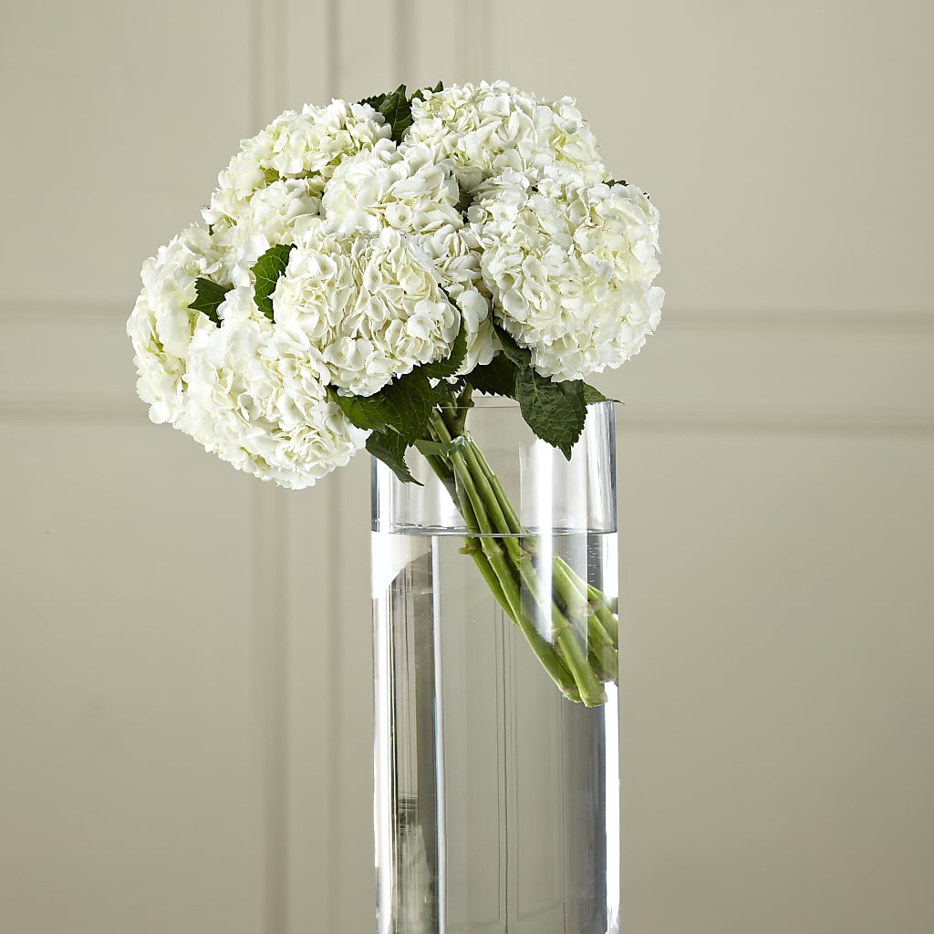 White Hydrangea Hand-Tied Bouquet – Main Street Floral, Superior NE