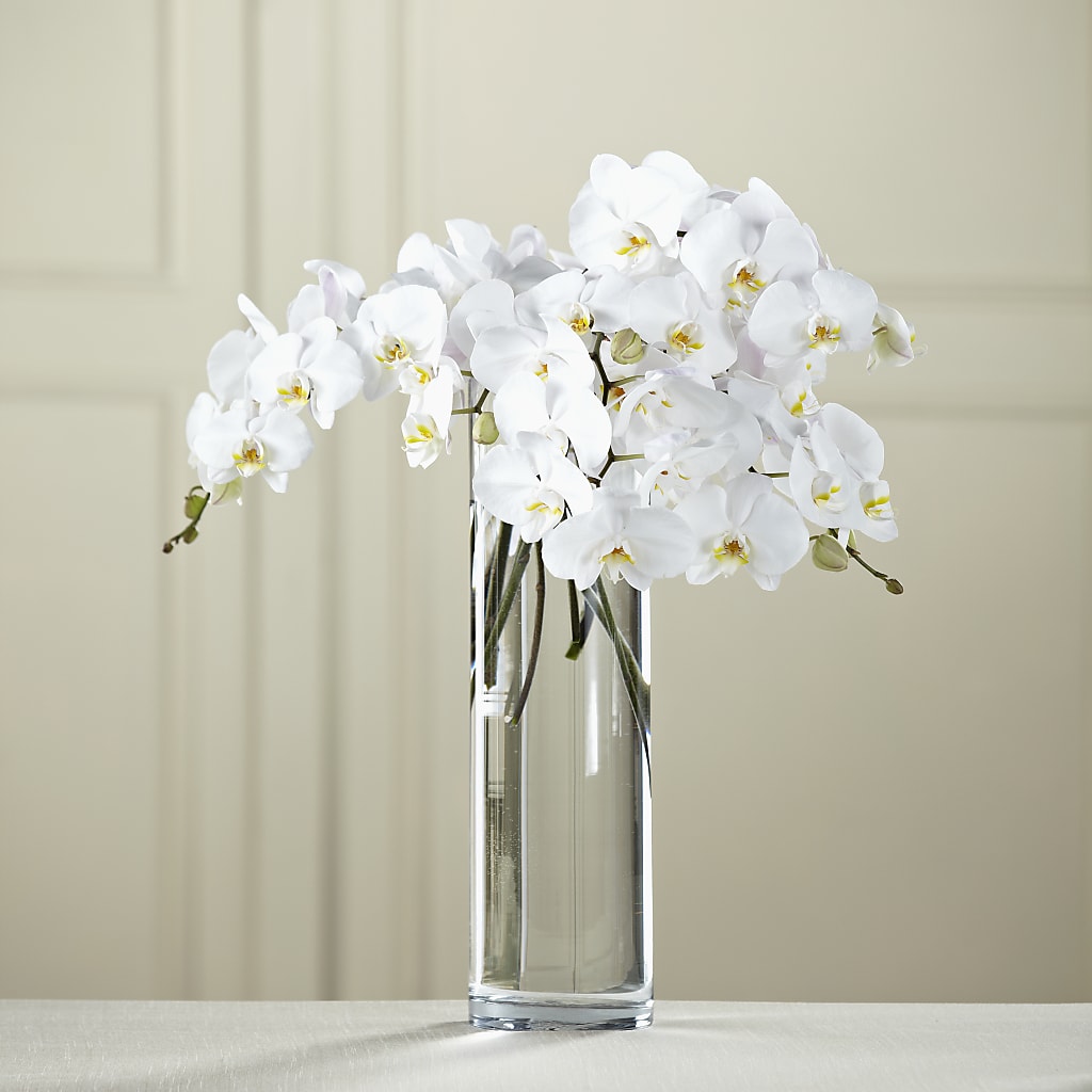 White Phalaenopsis Bouquet – Main Street Floral, Superior NE