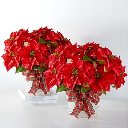Happiest Holidays Poinsettia Bundle –  Main Street Floral, Superior NE