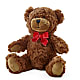 Adorable Plush Bear –  Main Street Floral, Superior NE