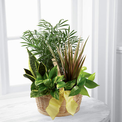 French Garden –  Main Street Floral, Superior NE