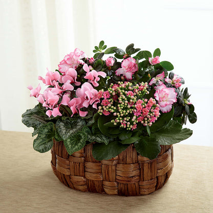 Pink Assortment –  Main Street Floral, Superior NE