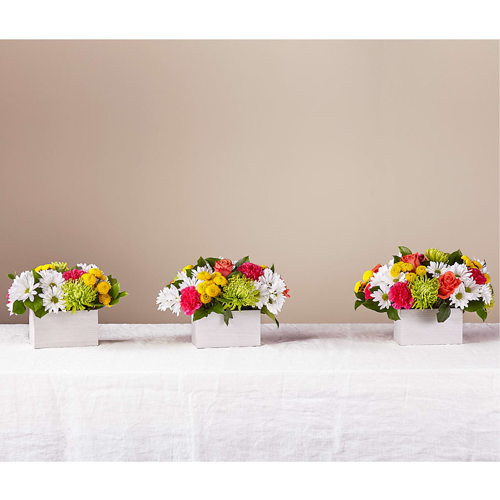 Sorbet Bouquet –  Main Street Floral, Superior NE