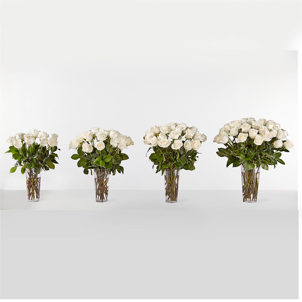 Long Stem White Rose Bouquet –  Main Street Floral, Superior NE