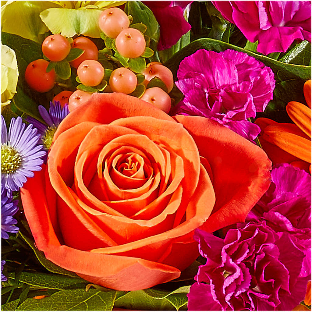 Tricks & Treats Pumpkin –  Main Street Floral, Superior NE