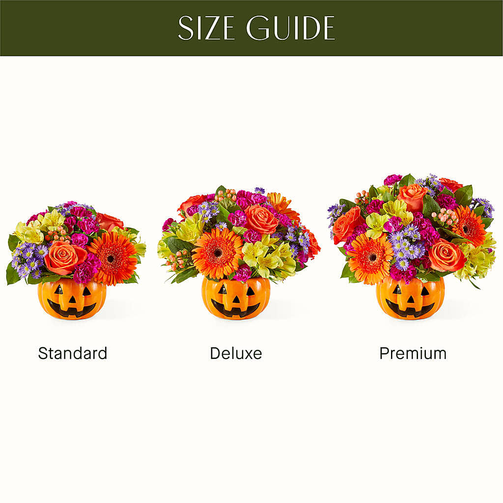 Tricks & Treats Pumpkin –  Main Street Floral, Superior NE