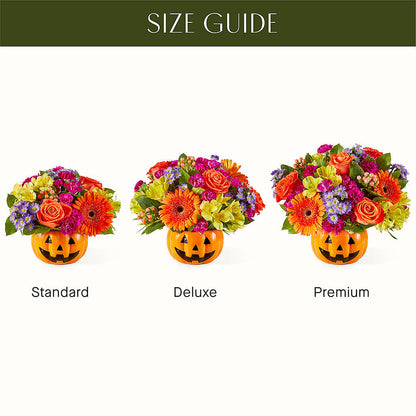 Tricks & Treats Pumpkin –  Main Street Floral, Superior NE