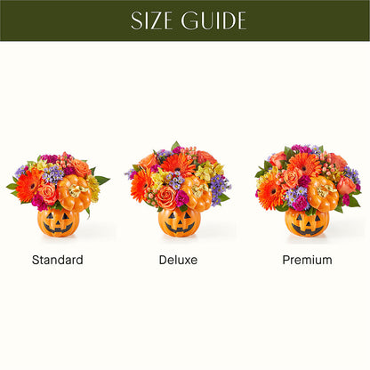 Tricks & Treats Pumpkin –  Main Street Floral, Superior NE