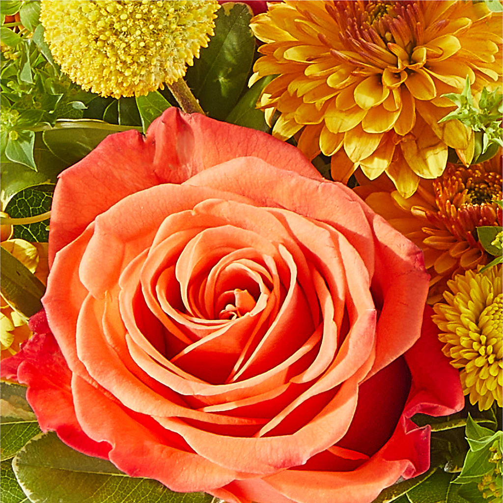 Gourdgeous Pumpkin –  Main Street Floral, Superior NE