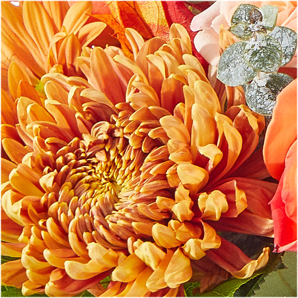 Scenic Route Bouquet –  Main Street Floral, Superior NE