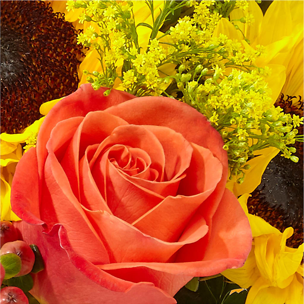 Pick of the Patch Pumpkin Bouquet –  Main Street Floral, Superior NE