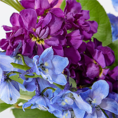Twilight Glow Bouquet –  Main Street Floral, Superior NE