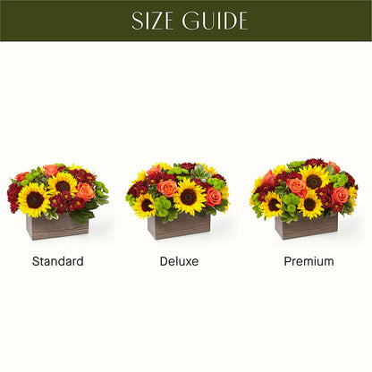 Happy Harvest Garden –  Main Street Floral, Superior NE