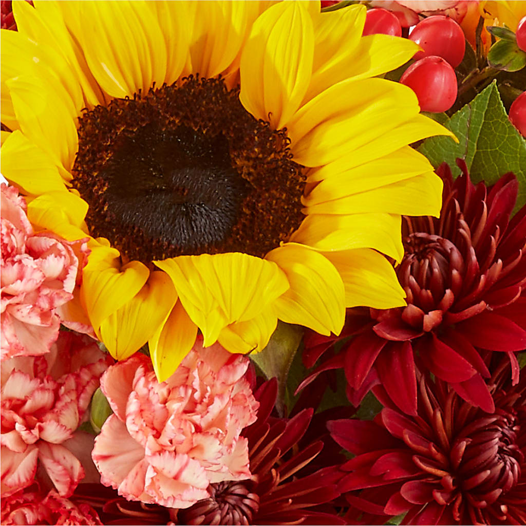 Fresh Cider Bouquet –  Main Street Floral, Superior NE