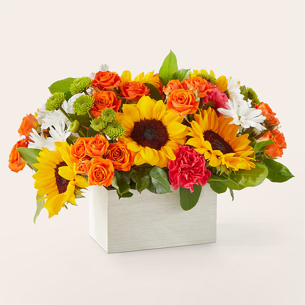 Sun-drenched Blooms Box Bouquet –  Main Street Floral, Superior NE