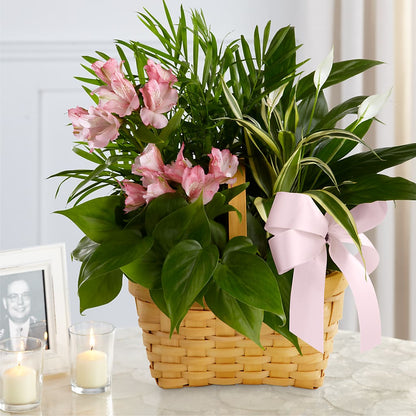 Living Spirit Dishgarden –  Main Street Floral, Superior NE