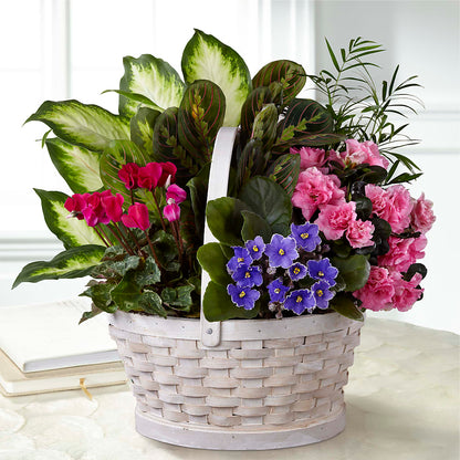 Peaceful Garden Planter –  Main Street Floral, Superior NE
