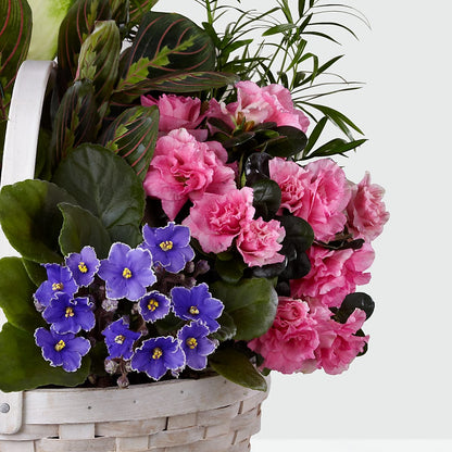 Peaceful Garden Planter –  Main Street Floral, Superior NE