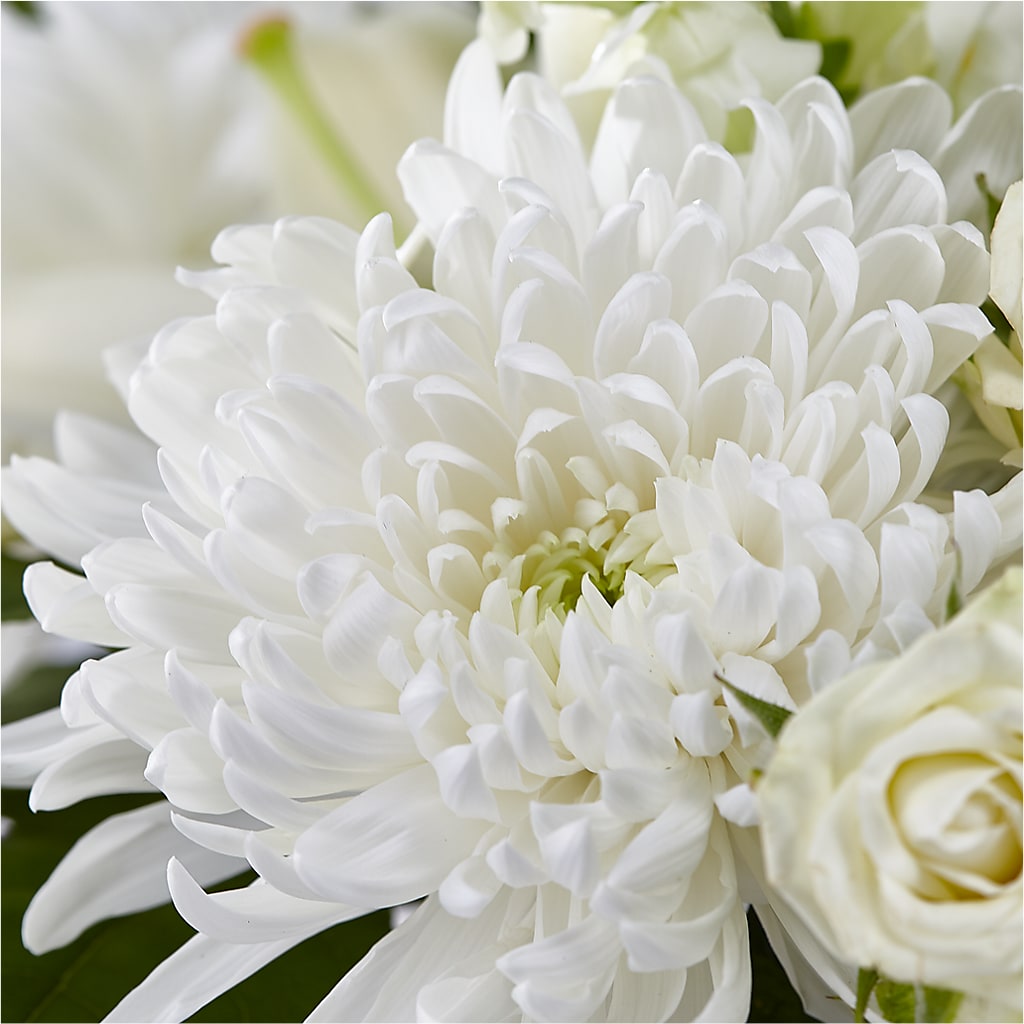 Classic Ivory – A Florist Original –  Main Street Floral, Superior NE