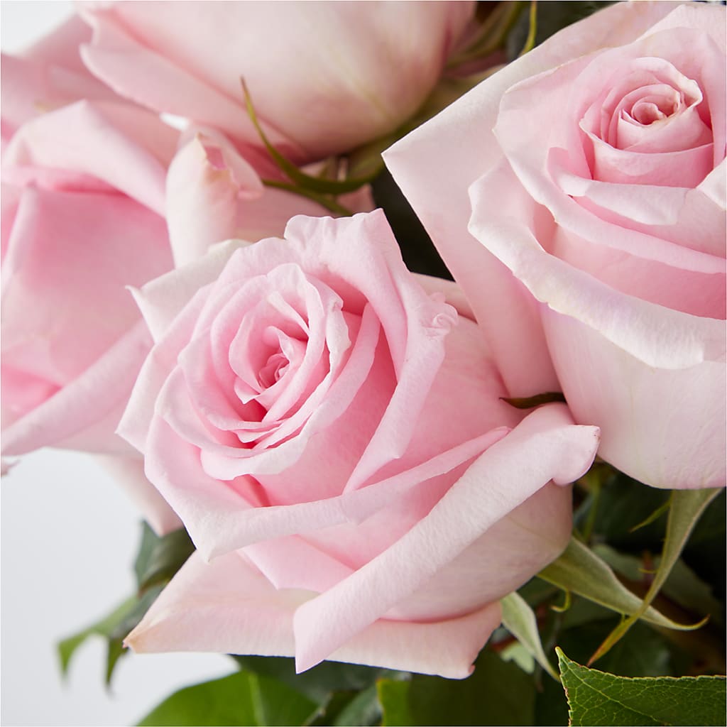 Picture Perfect Pink Rose Bouquet –  Main Street Floral, Superior NE