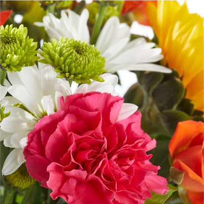 Sun-drenched Blooms Bouquet –  Main Street Floral, Superior NE