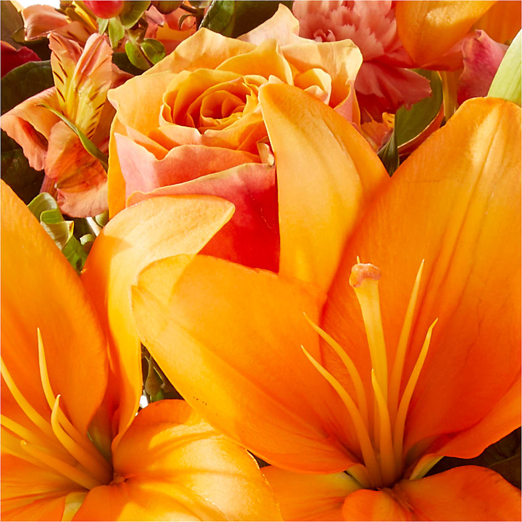 Afternoon Light Bouquet –  Main Street Floral, Superior NE