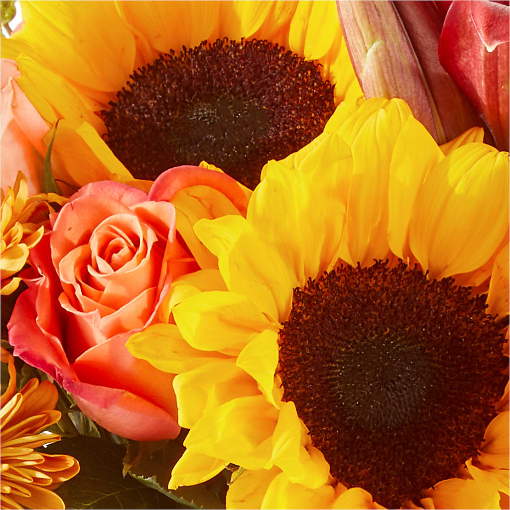 Acorn Lane Bouquet –  Main Street Floral, Superior NE