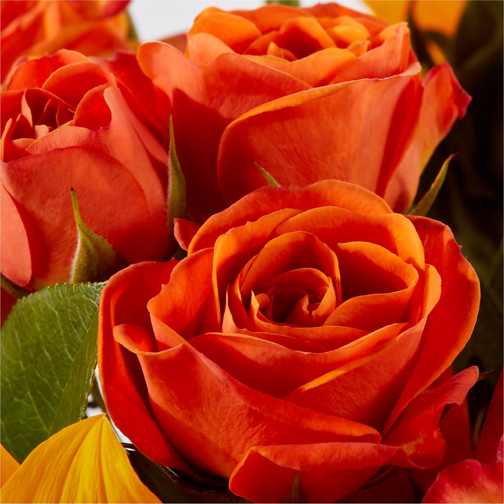 Picnic in the Park Bouquet –  Main Street Floral, Superior NE