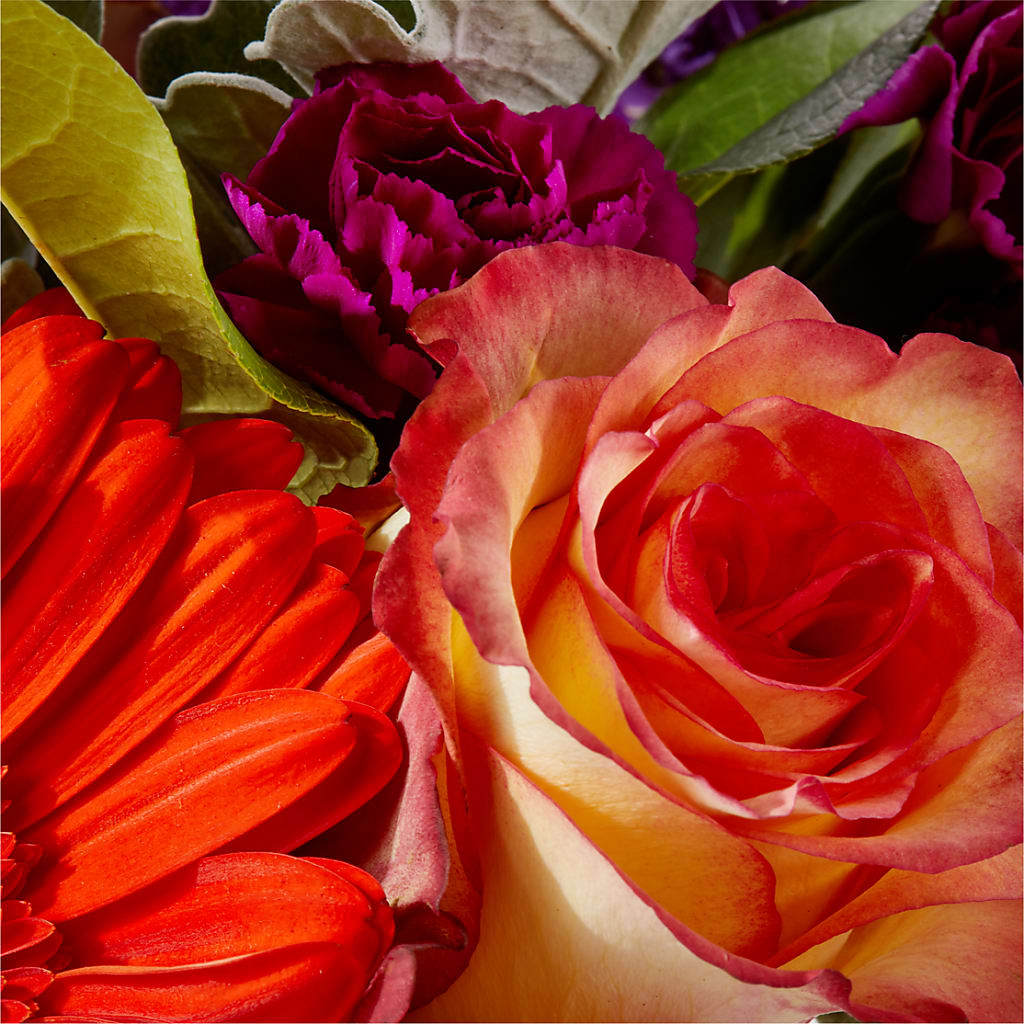 Sangria Bouquet –  Main Street Floral, Superior NE