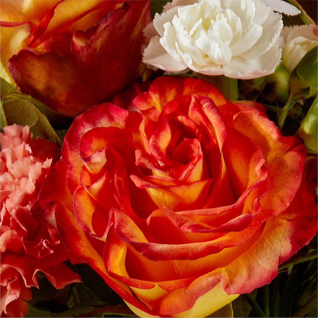 Apricot Glow Bouquet –  Main Street Floral, Superior NE
