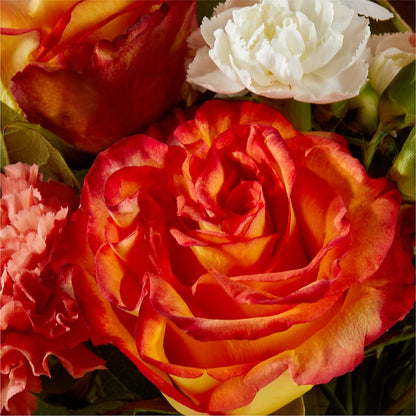 Apricot Glow Bouquet –  Main Street Floral, Superior NE