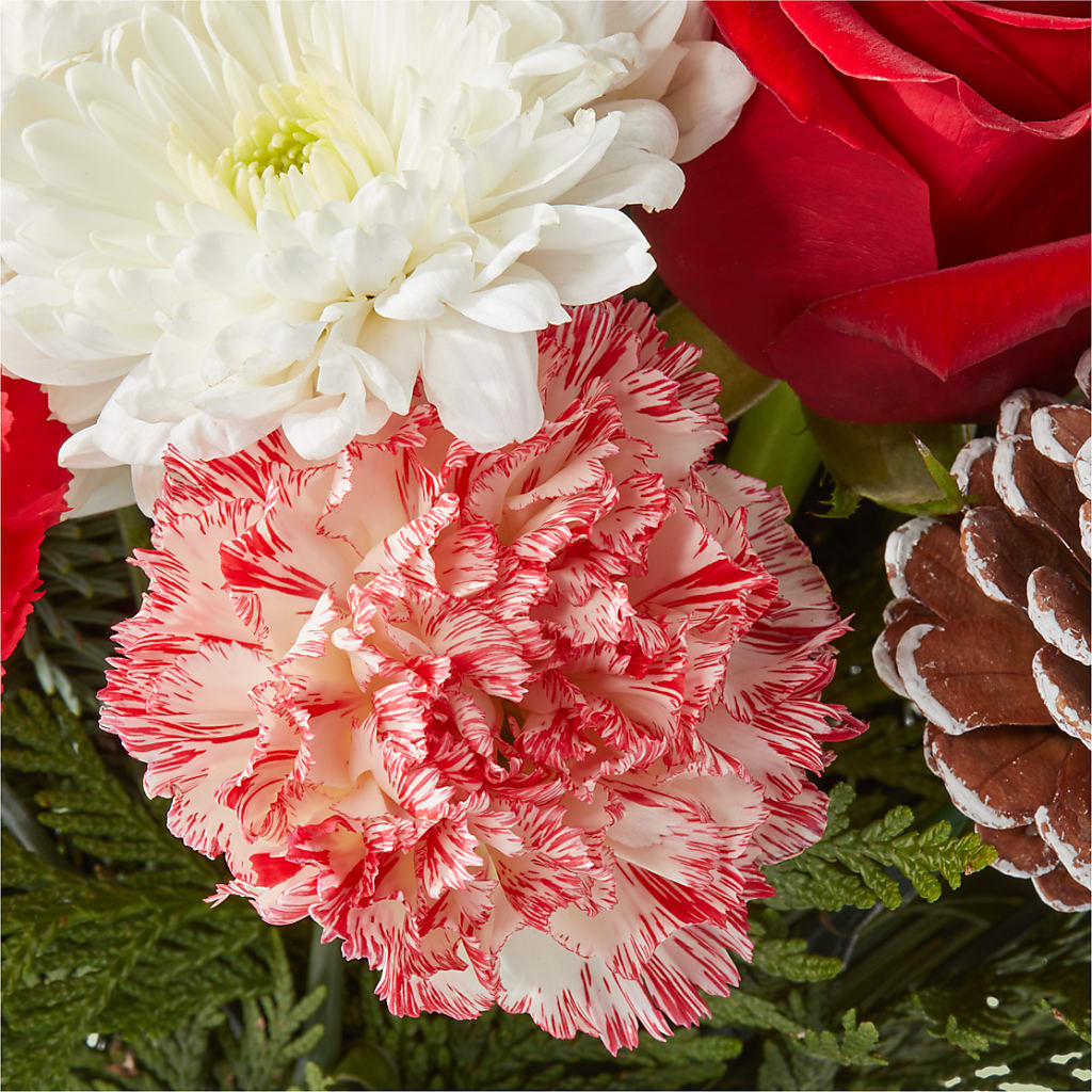 Candy Cane Lane Bouquet –  Main Street Floral, Superior NE