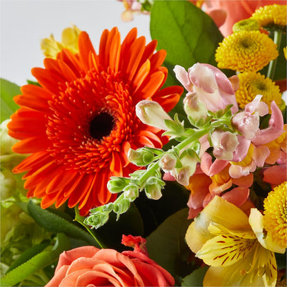 Autumn Sunshine Bouquet –  Main Street Floral, Superior NE