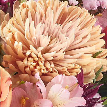 Berry Cobbler Bouquet –  Main Street Floral, Superior NE