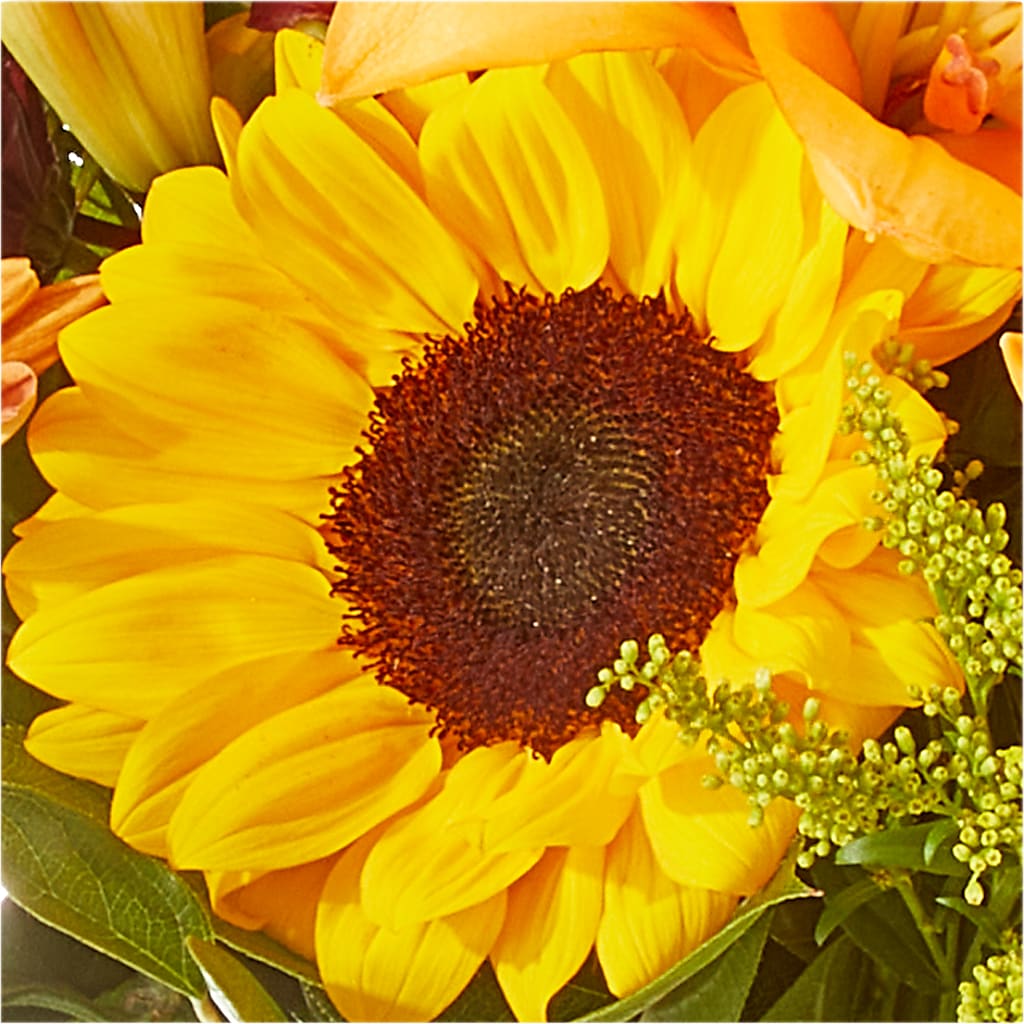 Seasons Change Bouquet –  Main Street Floral, Superior NE