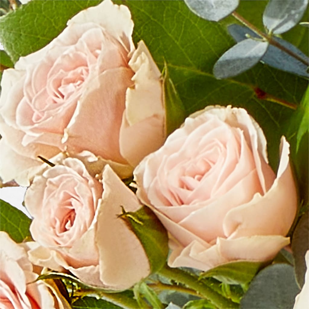 Inspired Bouquet –  Main Street Floral, Superior NE