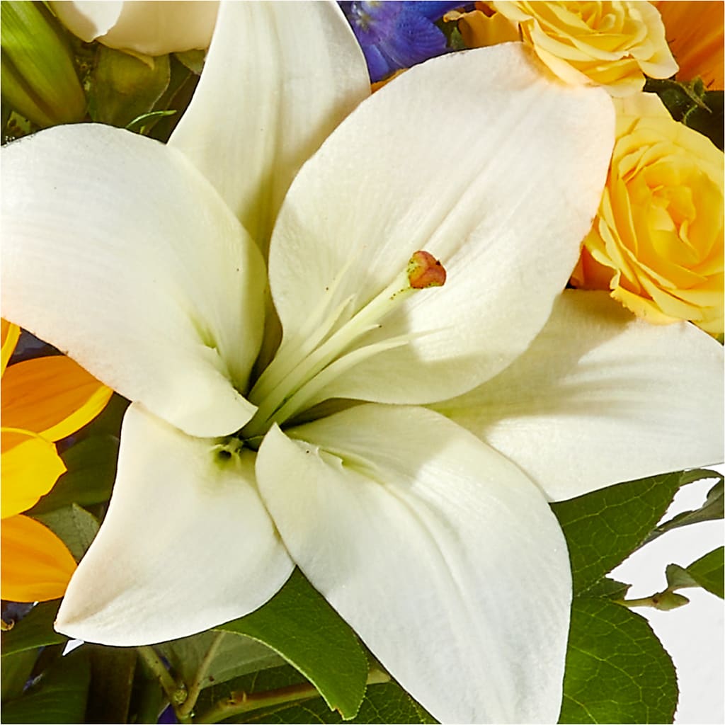 Wonderfully Sunny Bouquet –  Main Street Floral, Superior NE