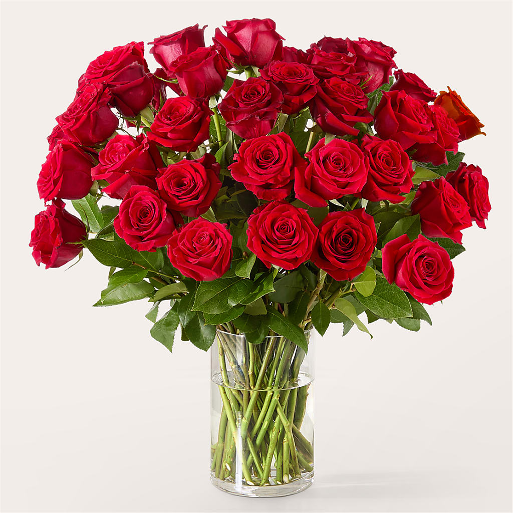 The One Red Rose Bouquet –  Main Street Floral, Superior NE