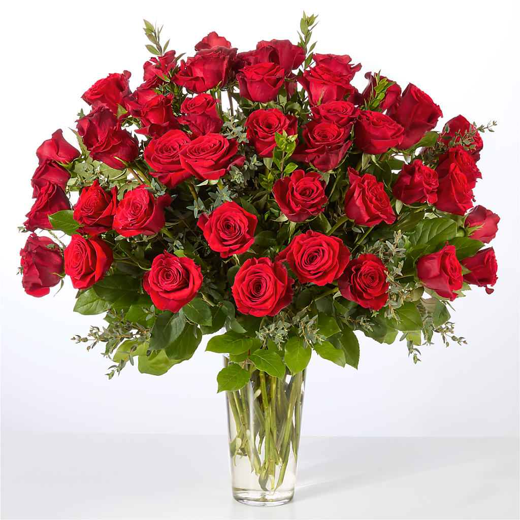 Forever Yours Fifty Stem Red Rose Bouquet –  Main Street Floral, Superior NE