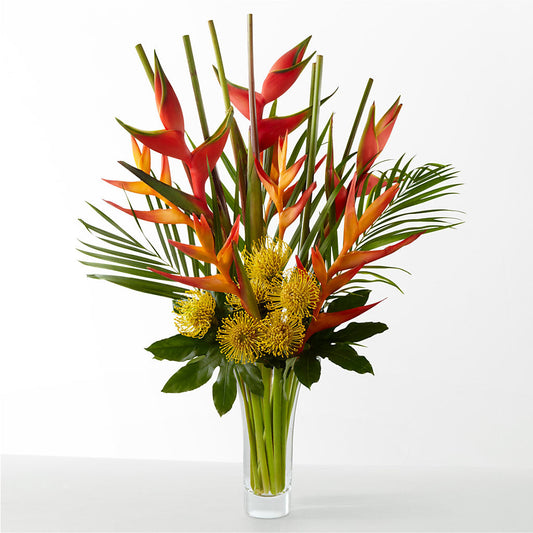 The Drama –  Main Street Floral, Superior NE
